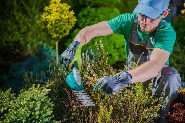 landscaping services Middlesborough